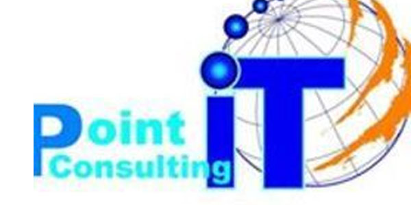 point it consulting